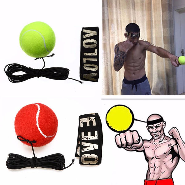 Boxing Speed Ball