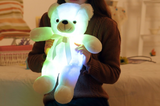 Light Up LED Teddy Bear