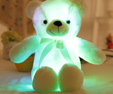 Light Up LED Teddy Bear