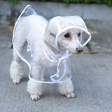 Transparent Raincoat For Pet Dog