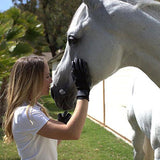 Pet Grooming Deshedding Glove