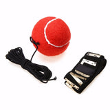 Boxing Speed Ball